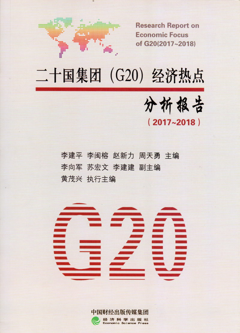 啊插白浆二十国集团（G20）经济热点分析报告（2017-2018）